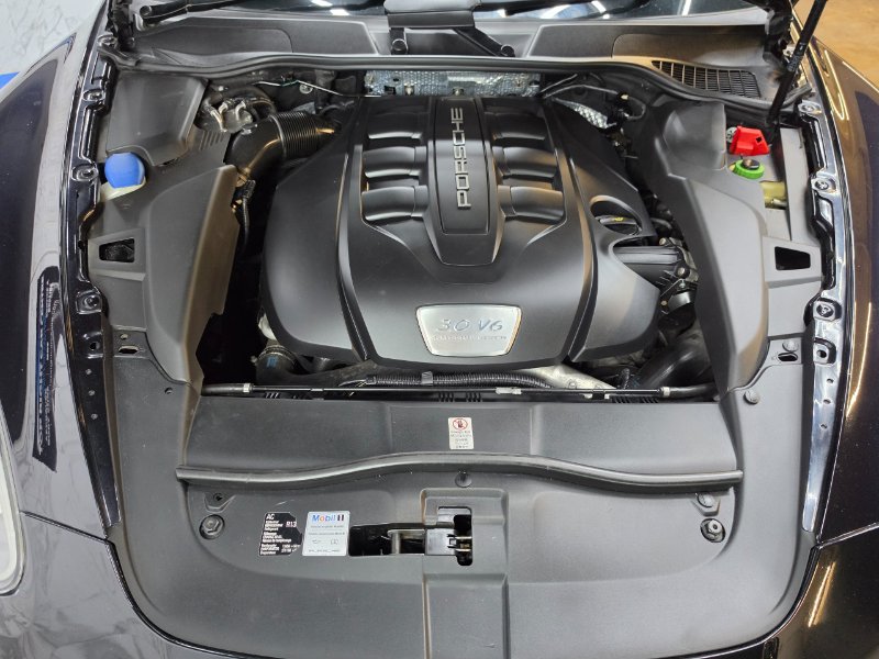 20260417_145552.jpg